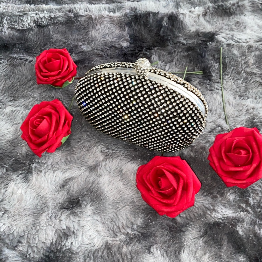 Sparkly clutch/purse